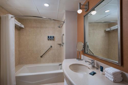 蒙特雷加莱里亚斯蒙特雷喜来登酒店的一间带水槽、浴缸和镜子的浴室