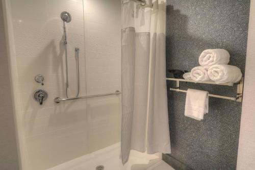 加特林堡Fairfield Inn & Suites by Marriott Gatlinburg Downtown的带淋浴、浴帘和毛巾的浴室