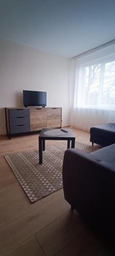 帕内韦日斯Adomo Apartamentai Panevėžyje的客厅配有电视和茶几