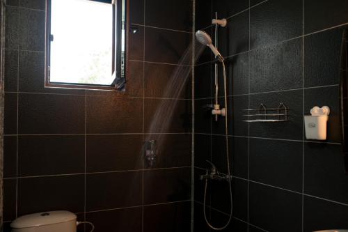 瓦尔纳Alfa Guest House - Free Parking的黑色瓷砖浴室设有淋浴和窗户