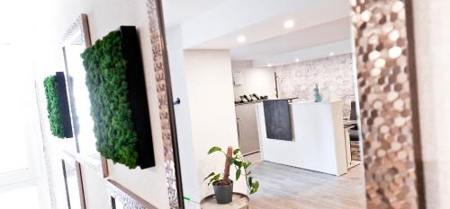 汉诺威SOFI-LIVING-APARTMENTS的厨房和客厅,墙上挂着植物