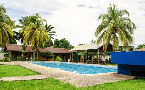 莱蒂西亚Hostel Casa de las Palmas Tours的棕榈树屋前的游泳池