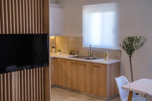 ZipárionOlivo Home的一个带水槽的厨房和墙上的电视