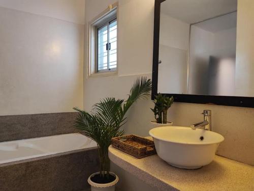 金边Villa Papillon的浴室配有水槽、浴缸和植物