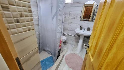 马赫穆迪亚CASA ADI SI MARIA的带淋浴、卫生间和盥洗盆的浴室