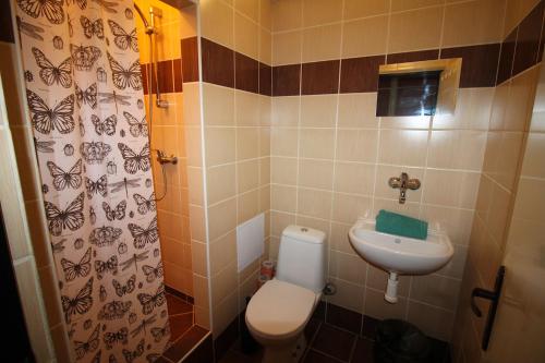 俄斯特拉发杜姆阿里欧酒店的一间带卫生间和水槽的小浴室