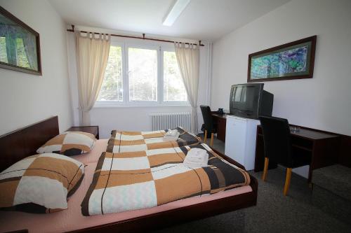 俄斯特拉发杜姆阿里欧酒店的一间卧室配有两张床、一张桌子和一台电视。
