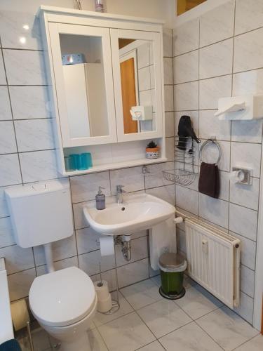 波鸿Ferienwohnung am Stadion Bochum Grumme的一间带卫生间和水槽的浴室