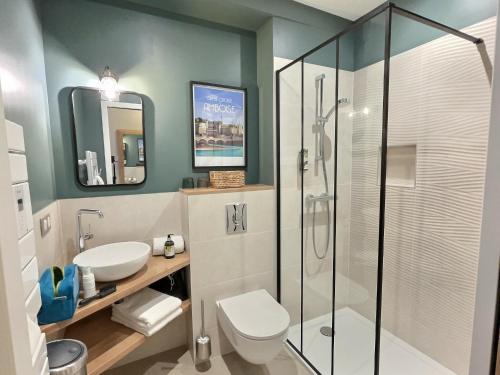 布拉西厄天鹅酒店的带淋浴、卫生间和盥洗盆的浴室