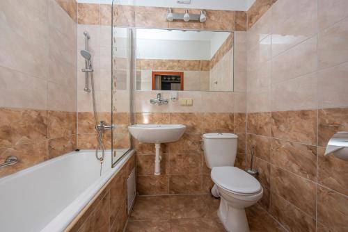 鲁容贝罗克哈勃沃酒店的浴室配有卫生间、盥洗盆和淋浴。