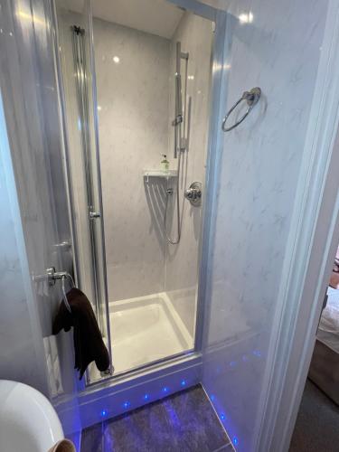 斯沃尼奇Rivendell Guest House的浴室里设有玻璃门淋浴