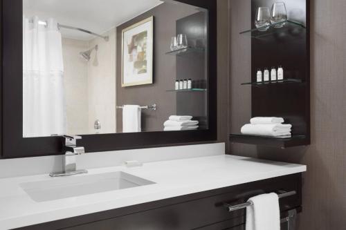 巴尔的摩Delta Hotels by Marriott Baltimore North的一间带水槽和大镜子的浴室