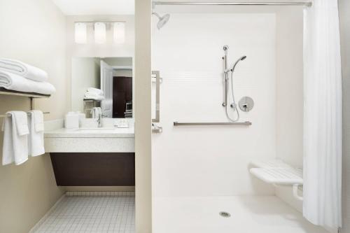 利斯堡TownePlace Suites by Marriott Leesburg的带淋浴和盥洗盆的浴室