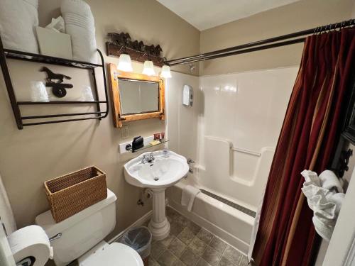 布兰森Historic Branson Hotel - Horseshoe Room with King Bed - Downtown - FREE TICKETS INCLUDED的浴室配有盥洗盆、卫生间和浴缸。