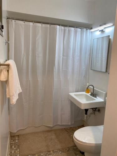 加兹登Sophisticated studio apartment in Gadsden, AL的浴室配有淋浴帘、卫生间和盥洗盆。