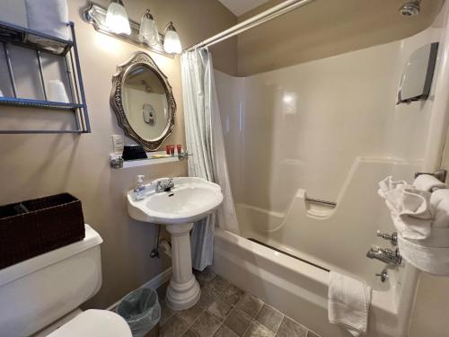 布兰森Historic Branson Hotel - Serendipity Room with Queen Bed - Downtown - FREE TICKETS INCLUDED的一间带水槽、淋浴和卫生间的浴室