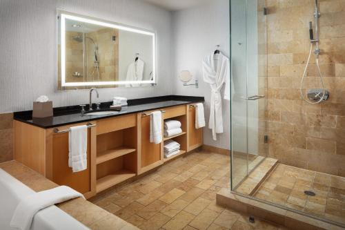 圣路易斯圣路易斯威斯汀酒店的一间带水槽和淋浴的浴室