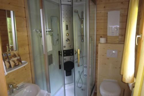 HeidersdorfLandhotel Flöhatal的带淋浴、盥洗盆和卫生间的浴室