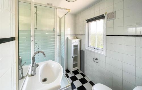 曲马勒姆Stunning Home In Tzummarum With Wifi的一间带水槽、淋浴和卫生间的浴室
