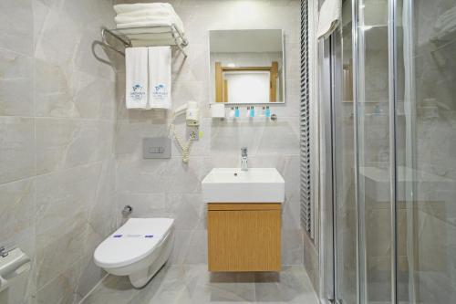 伊斯坦布尔Istanbul Panorama Hotel的浴室配有卫生间、盥洗盆和淋浴。