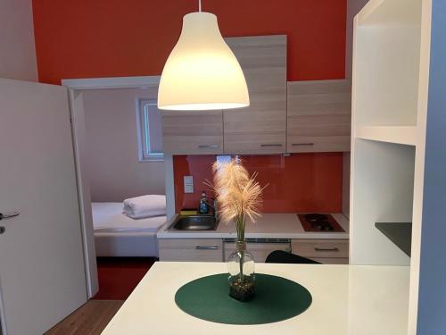 哈特Klockerhof Appartements I Rooms的餐桌上放植物的花瓶厨房