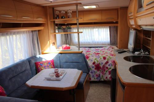 阿赫特克克Caravan 't Koekoeksnest的带沙发的客厅和拖车内的床铺