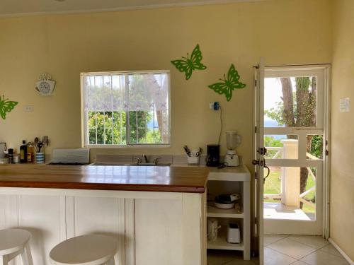 大玉米岛Sunhill Villa的厨房配有带水槽的柜台和窗户。