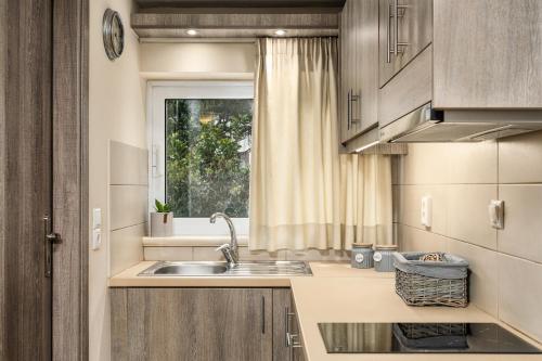 凯里翁狄奥尼修斯别墅公寓的厨房设有水槽和窗户。