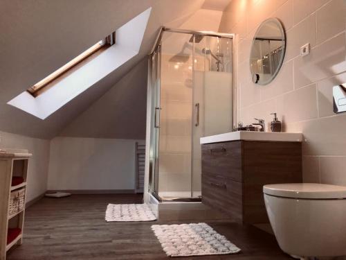 埃尔施泰因Le papillon,Logement cosy en Alsace的带淋浴、卫生间和盥洗盆的浴室
