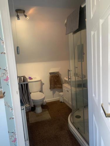 霍伊莱克Seaways Cottage Hoylake的一间带卫生间和玻璃淋浴间的浴室