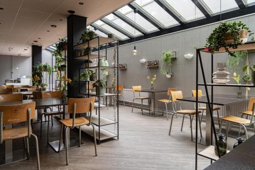 丽兹史基浦达夫丽萨酒店的一间设有桌椅的餐厅,种植了植物