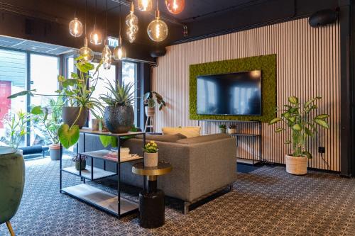 丽兹史基浦达夫丽萨酒店的带沙发和电视的客厅以及植物