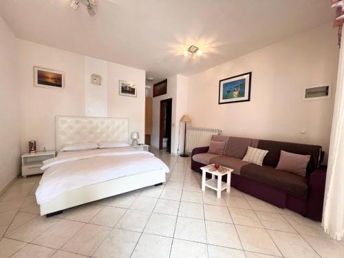 诺维格勒伊斯特拉Apartments Tereza的一间卧室配有一张床和一张沙发