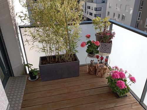 斯特拉斯堡Chambre nature chez l'habitant的阳台上种有几株盆栽植物和花卉