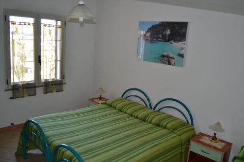 洛特佐拉伊Marina's apartment Ogliastra的一间卧室配有一张带绿色床罩的床和两个窗户