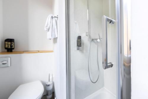 卢加诺Hotel San Carlo的带淋浴和卫生间的浴室