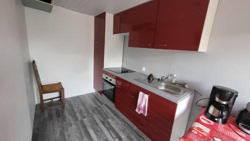 Sury-en-VauxBienvenue chez les GIBBS!的一个带红色橱柜和水槽的小厨房