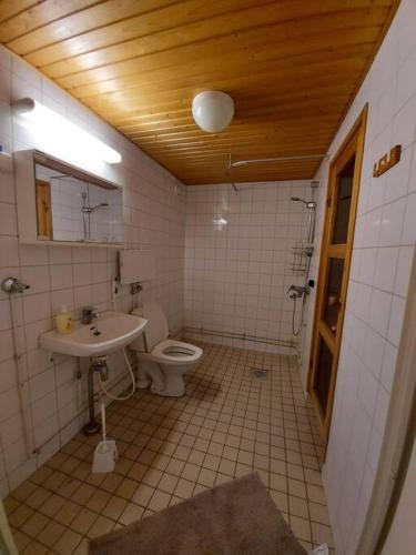 坦佩雷Saunallinen kaksio的一间带卫生间和水槽的浴室