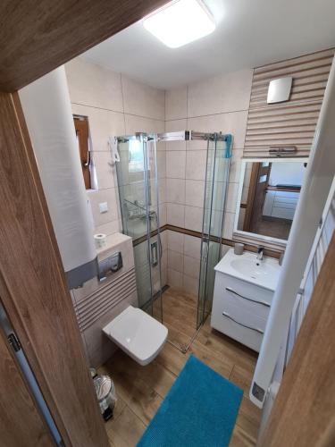 尤斯托尼莫斯基Domki luksusowe Kapitan的带淋浴、卫生间和盥洗盆的浴室