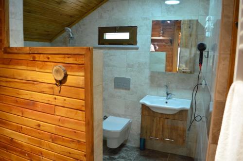 特拉布宗Trabzon green valley villa的一间带卫生间和水槽的浴室