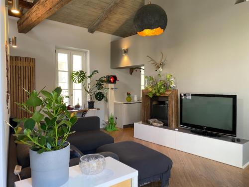 都灵TOURinTURIN appartamento in Torino centro的客厅配有平面电视和沙发。