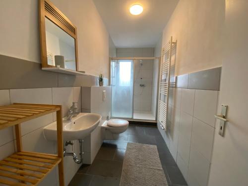 不莱梅Monteurhaus Hemelingen的一间带水槽和卫生间的浴室
