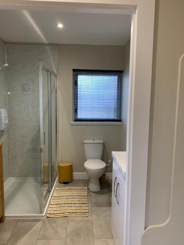 阿博因Birchwood View的带淋浴和卫生间的浴室以及窗户。