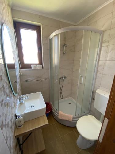 默主歌耶Pansion Vlado的带淋浴、盥洗盆和卫生间的浴室