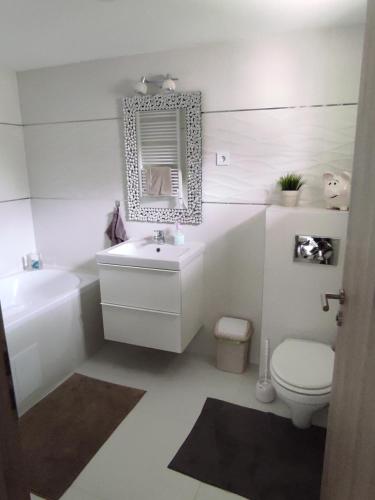 特勒克巴林特Garden Home的一间带水槽、卫生间和镜子的浴室
