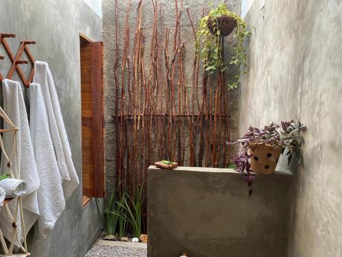雅帕拉廷加Casa do Francês的浴室设有围栏和一盆植物