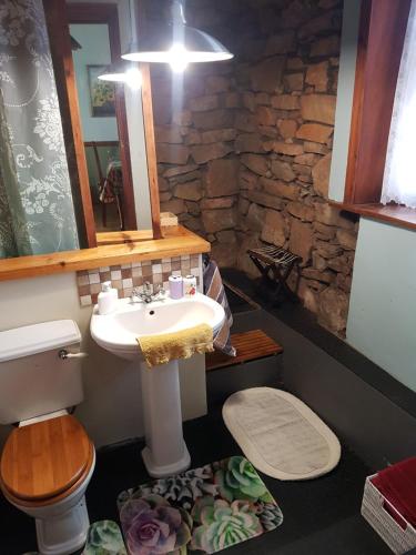 Joubertinapansy的一间带水槽、卫生间和镜子的浴室