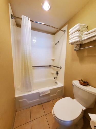 旧金山皇家太平洋汽车旅馆的一间带卫生间、浴缸和淋浴的浴室