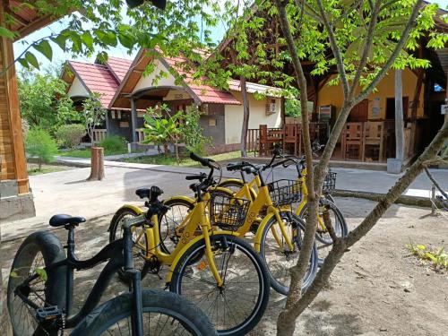 吉利美诺Meno Turtle BUNGALOWS的一排停在树旁的黄色自行车