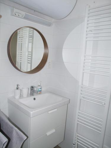 鲍道乔尼特尔代米茨Vidám csendes természetközeli falusi szálláshely .的浴室设有白色水槽和镜子